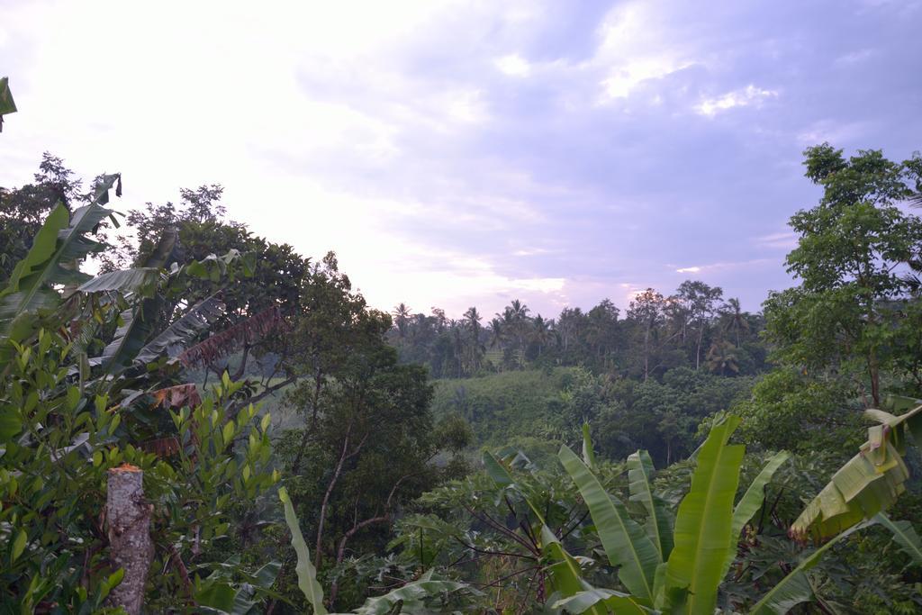 Pondok Bali Ubud Exterior foto